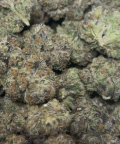 Blueberriez