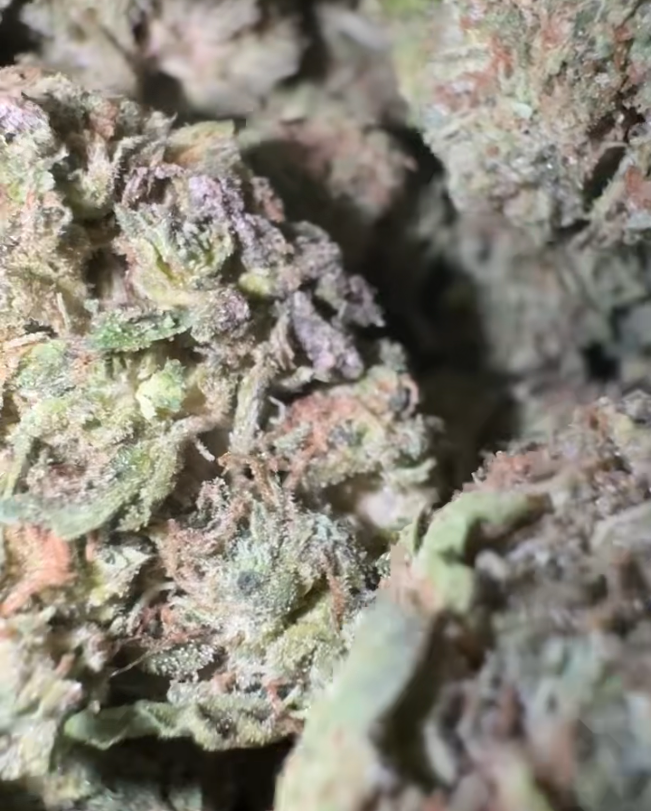 Jet Fuel