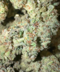 OG