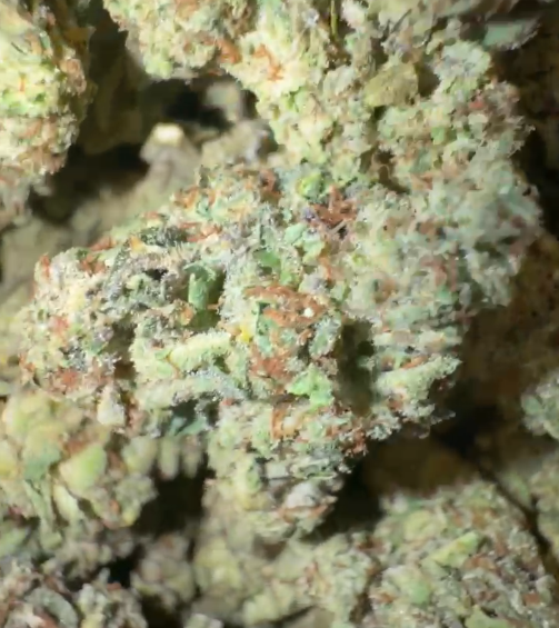 OG