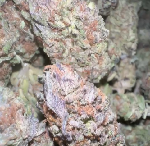 Orange crush