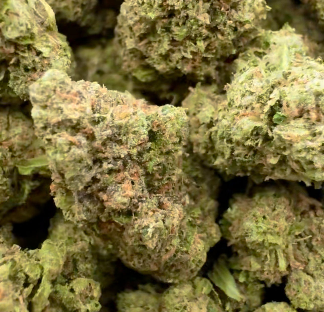 Pineapple Express