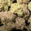 Purple Gelato