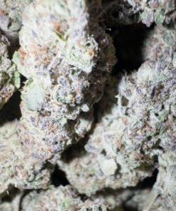 Purple mojo