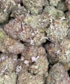 Indoor bubba