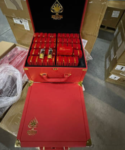 Buy Ace Ultra Red