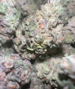 Cherry Bombz