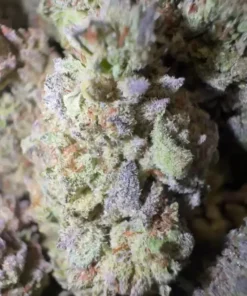Cherry ICEE 475