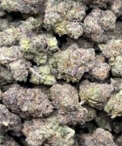 Exotic Gotti