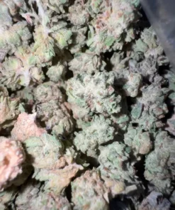 Exotic Smalls