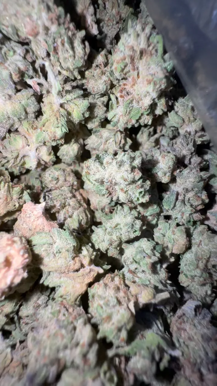 Exotic Smalls