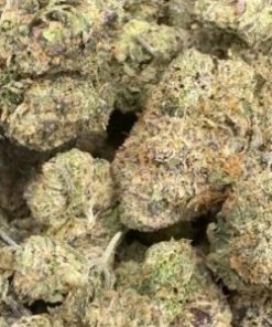Poison Lemon