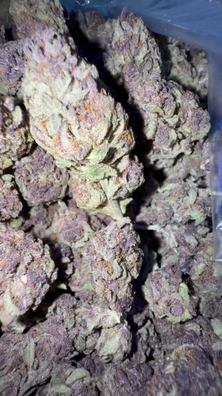 Purple Jedi