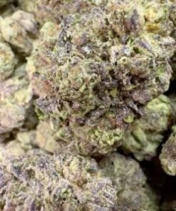 ****Purple Runtz****
