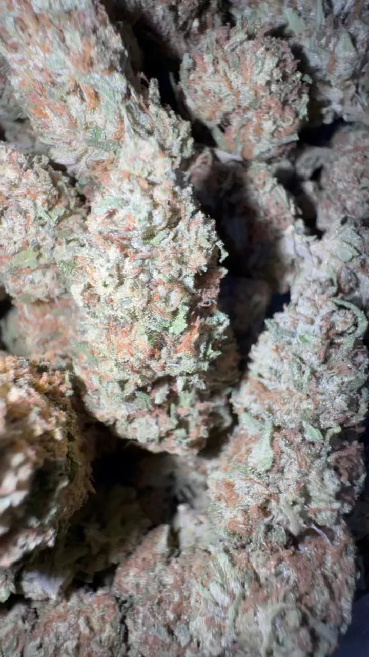 White Cherry Gelato
